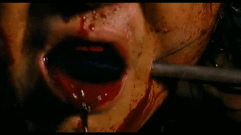 tumblr_lsc0n2PQp01r409kvo1_500.gif