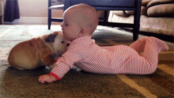 500x200 (46).gif