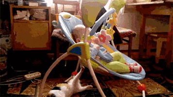 500x200 (85).gif