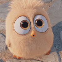 500x200 (37).gif