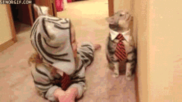 500x200 (35).gif