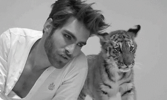 500x200 (45).gif