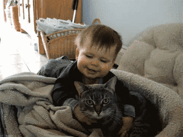 500x200 (31).gif