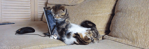 500x200 (82).gif
