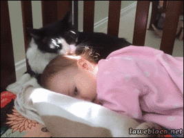 500x200 (83).gif