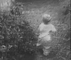 500x200 - 2019-05-07T164558.858.gif