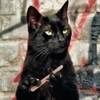 500x200 (26).gif