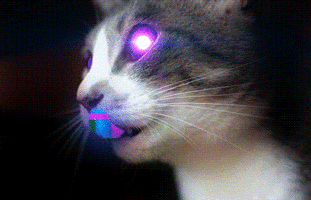 500x200 (19).gif