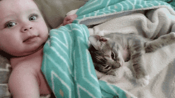 500x200 (74).gif