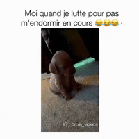 500x200 (96).gif