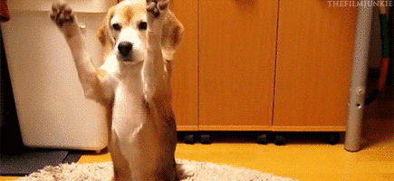 500x200 (42).gif