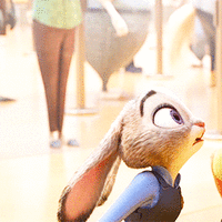 500x200 (89).gif