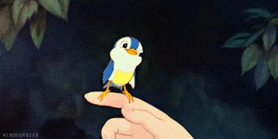 500x200 (84).gif