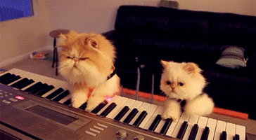 500x200 (54).gif
