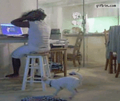 500x200 (51).gif