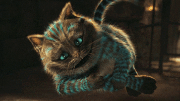 500x200 (70).gif