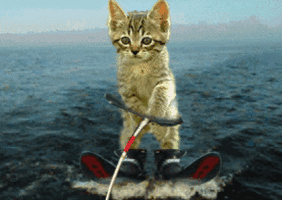 500x200 (28).gif