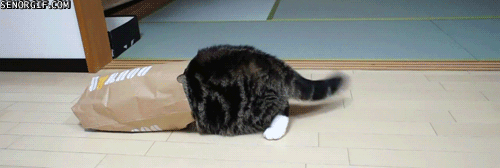 500x200 (20).gif