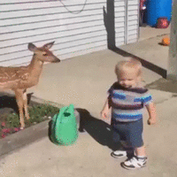 500x200 - 2019-05-07T163857.990.gif