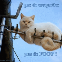 500x200 (71).gif
