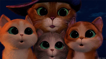 500x200 (52).gif