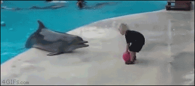 500x200 (40).gif