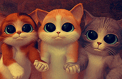 500x200.gif