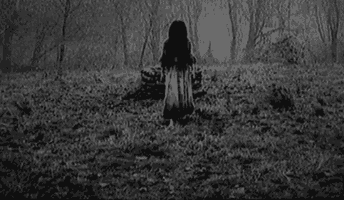 3112997365_1_9_Y9DfXvdZ.gif