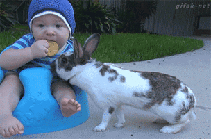 500x200 (13).gif