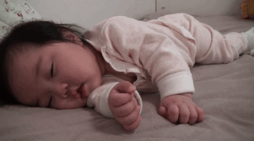 500x200 (1).gif