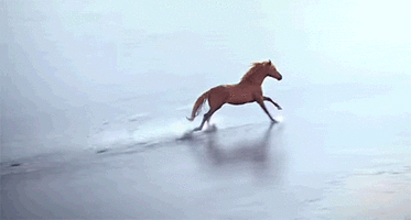 500x200 (15).gif