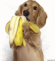 500x200 (53).gif