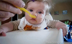 500x200 (56).gif