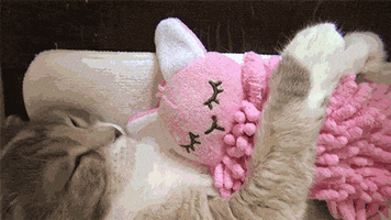 500x200 (92).gif