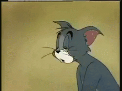 500x200 (11).gif