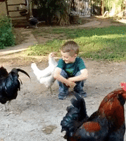 500x200 - 2019-05-14T223722.191.gif