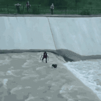500x200 (9).gif