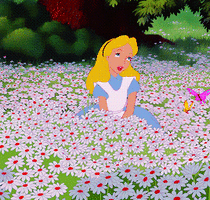 500x200 (5).gif