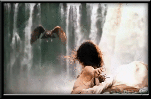 500x200 (46).gif