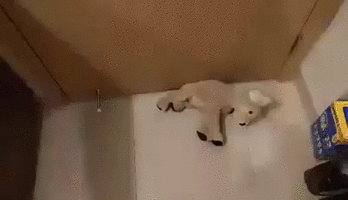 500x200 (85).gif