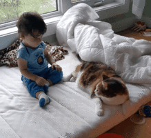 500x200 (36).gif