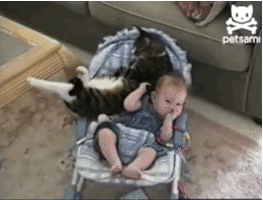 500x200 - 2019-05-14T235555.592.gif