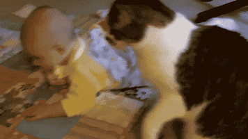 500x200 (28).gif
