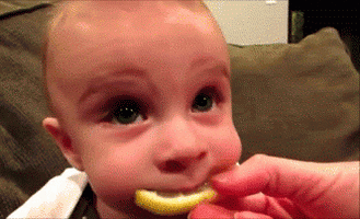 500x200 (2).gif