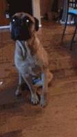 500x200 (66).gif
