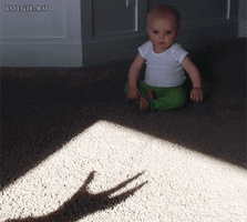 500x200 - 2019-05-07T163851.445.gif