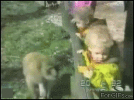 500x200 - 2019-05-07T163951.699.gif