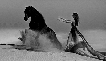500x200 (25).gif