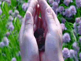 500x200 (16).gif