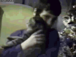 500x200 - 2019-05-07T164808.865.gif